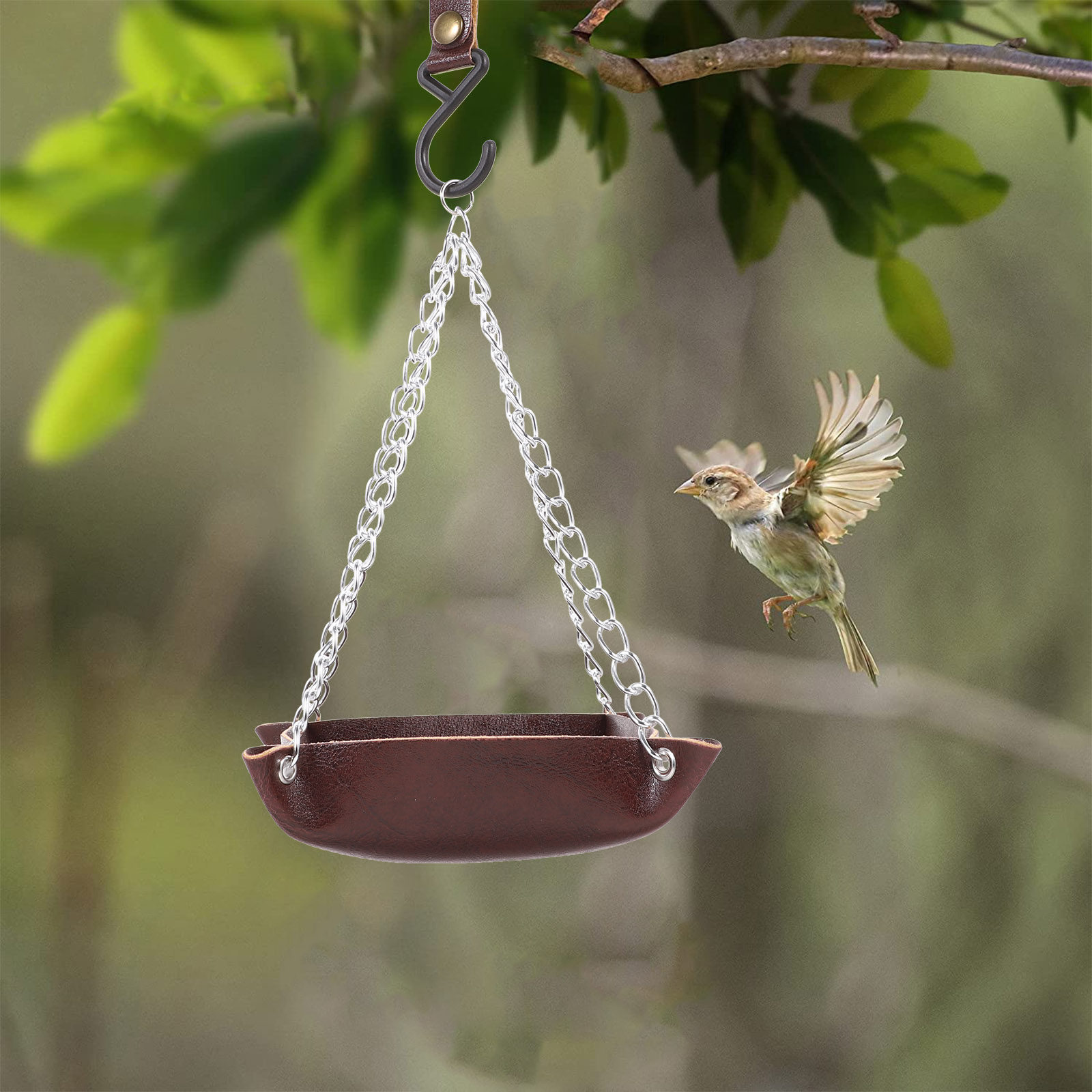 Sturdy Bite-Resistant Transpar - Feeding review and price