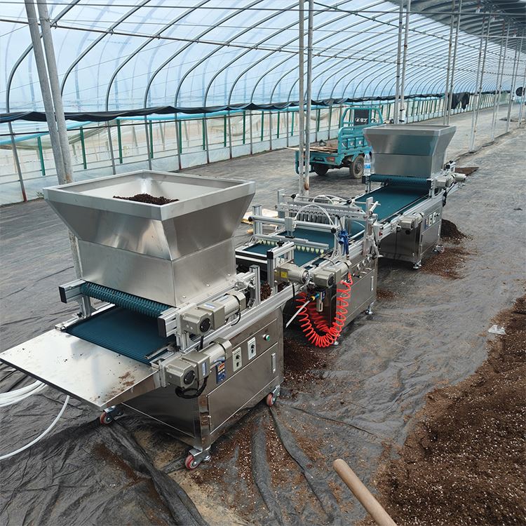 Automated Nursery Equipment fo - Nursery review and price